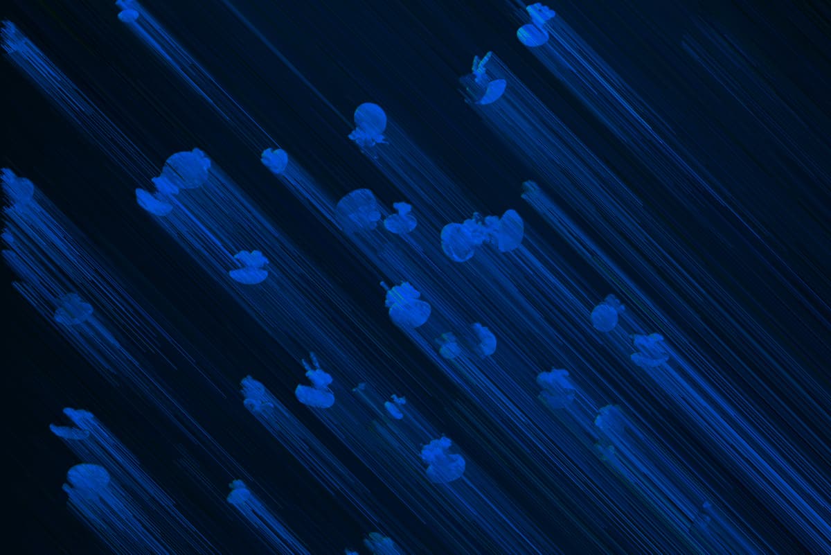 Preview image 1 of Photoedit